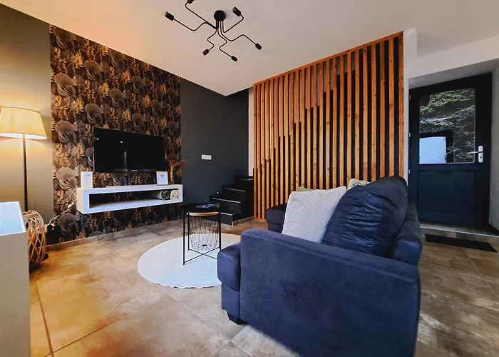 Chez Nenene En Ardenne 別荘 *